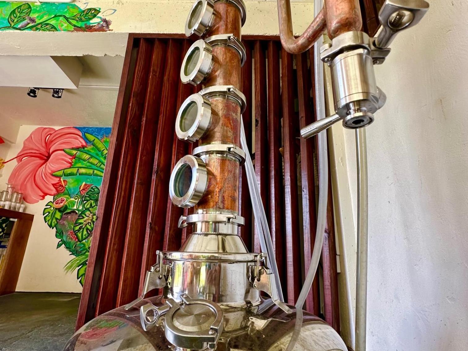 Sea Cliff Eco-Cottages & Gin Distillery Calibishie Eksteriør billede